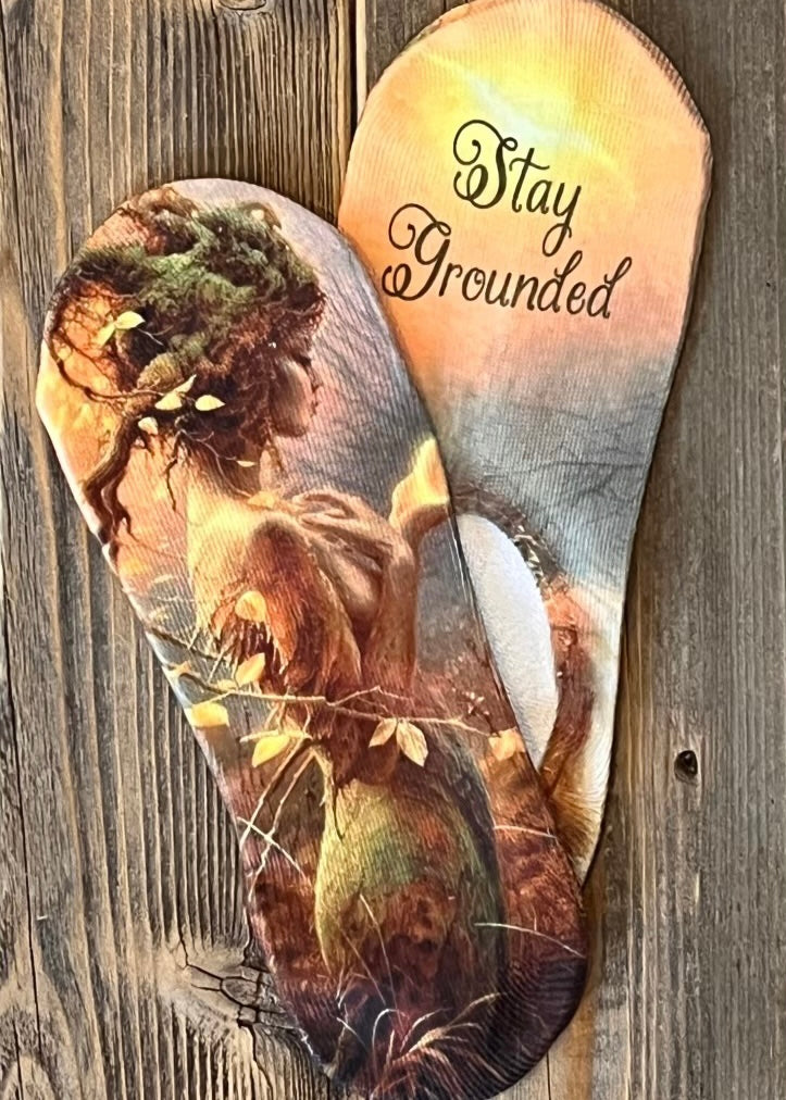 Free Burd ''Stay Grounded" No Show Socks