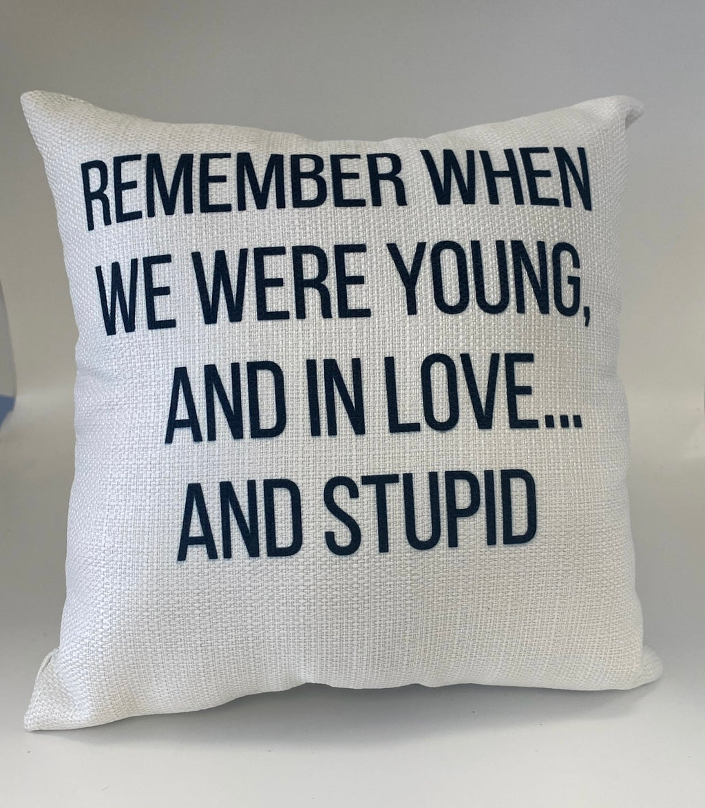 Mini Pillow “Remember When We Were Young and In Love…And Stupid”