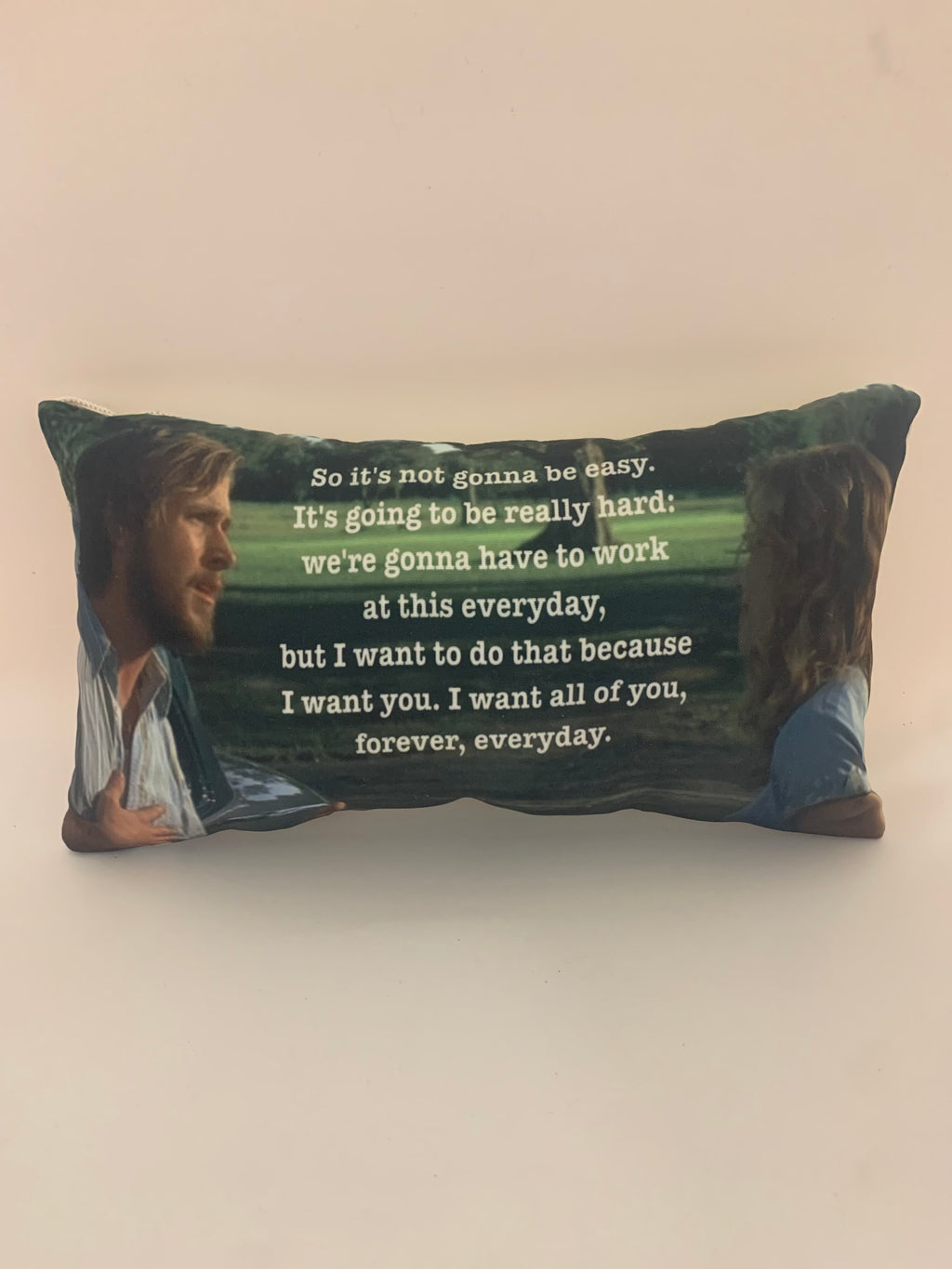 It’s Not Going to be easy Mini Pillow